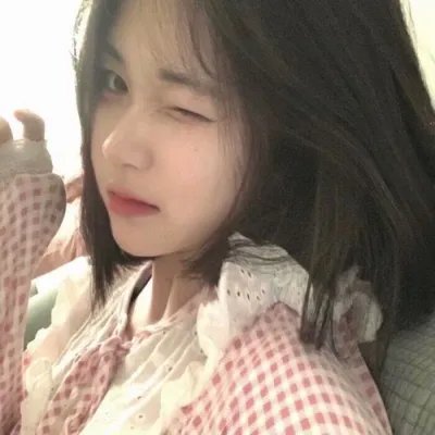 绽放的玫瑰